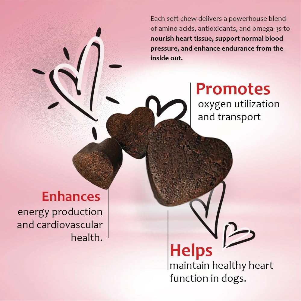CARDIOMAX-label-closeup highlights veterinary-quality heart support.