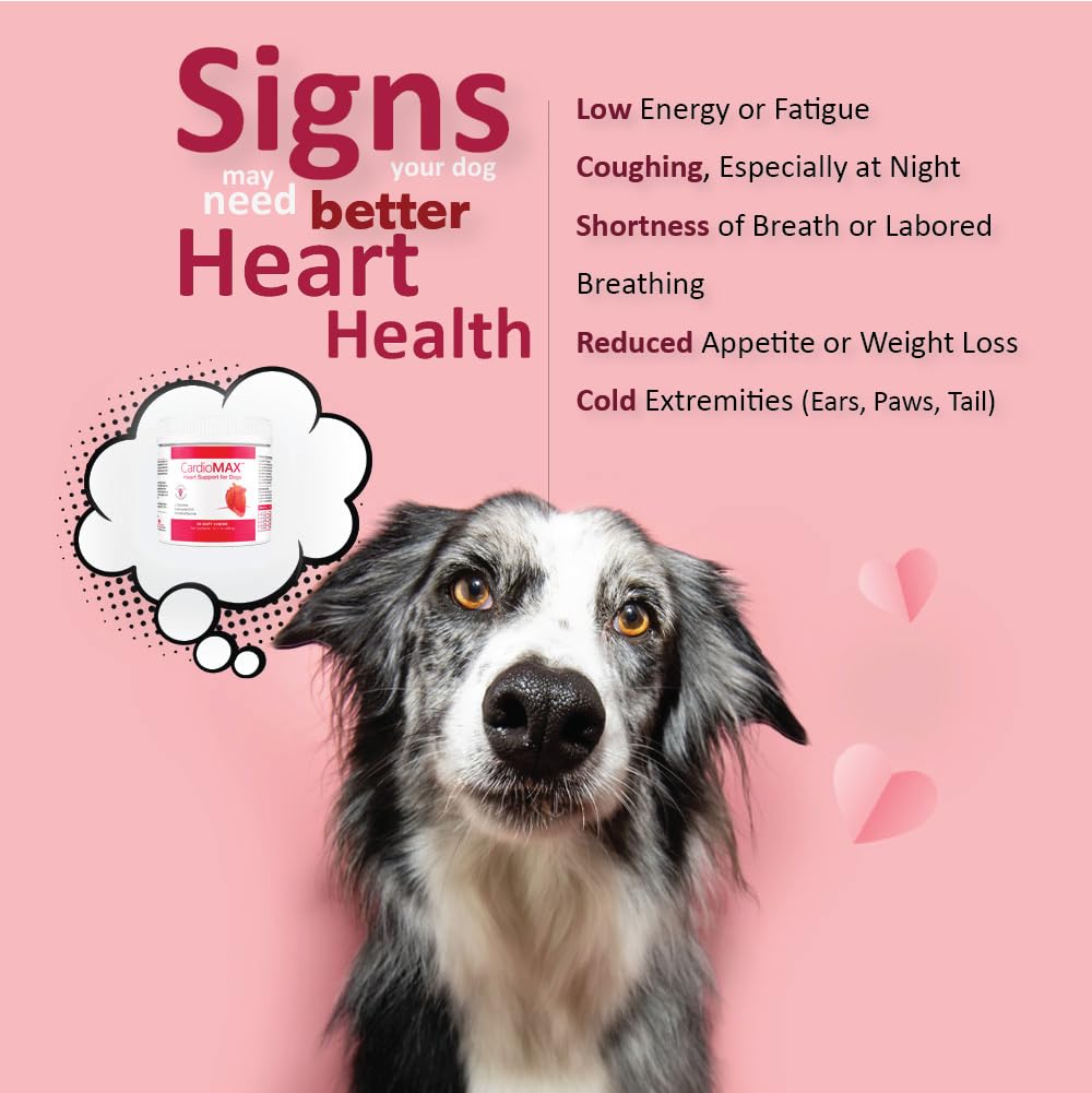 CARDIOMAX soft-chews-closeup shows a palatable texture dogs may enjoy.