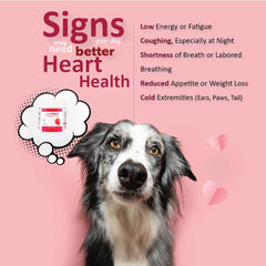 CARDIOMAX soft-chews-closeup shows a palatable texture dogs may enjoy.
