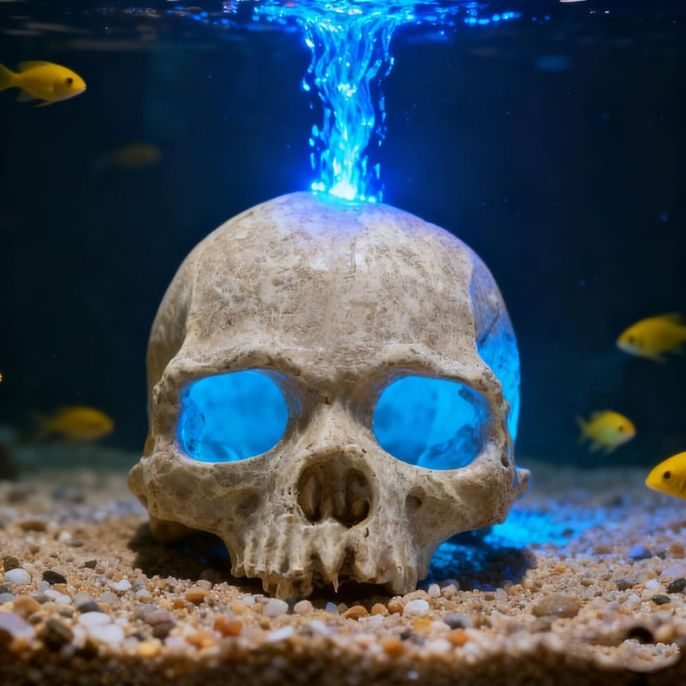Carefree Fish 2 inch air stone bubbling for visual appeal and aeration.