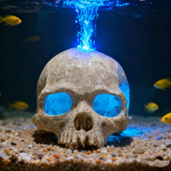 Carefree Fish 2 inch air stone bubbling for visual appeal and aeration.