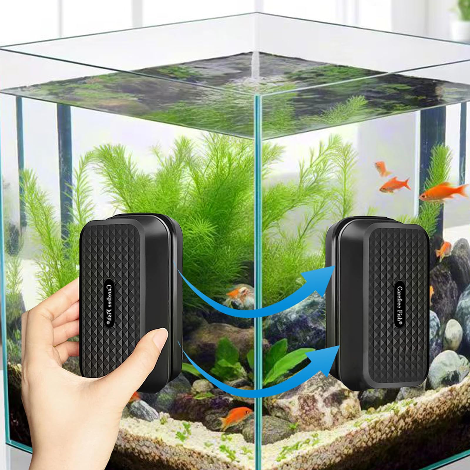 Carefree Fish pack shot shows easy-to-read outer packaging and instructions.