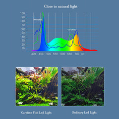 Carefree Fish LED light showing 360° rotation for flexible tank placement.