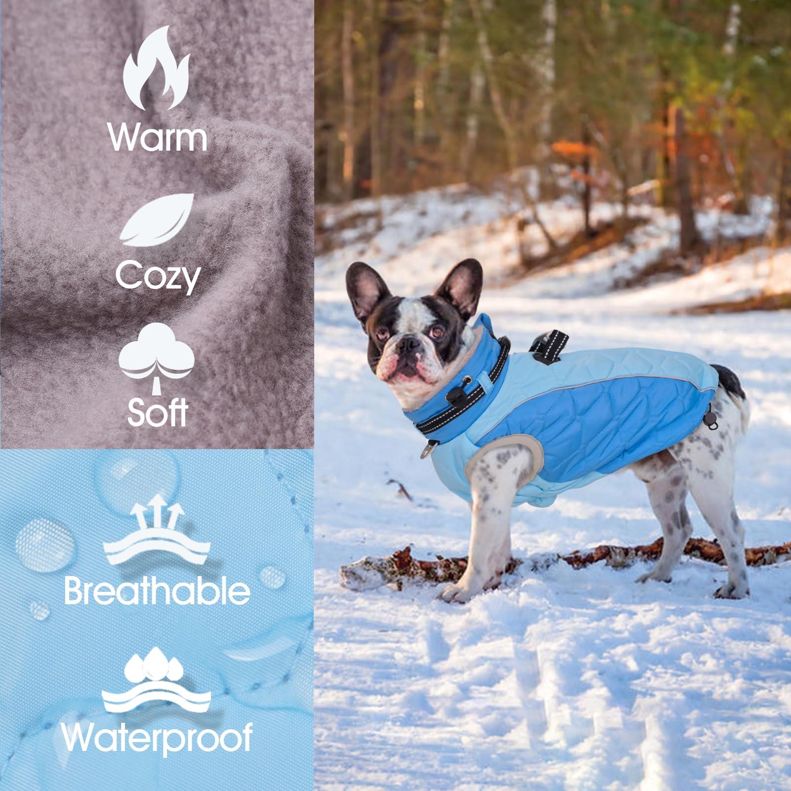 CAREUPET dog jacket blue with D-Ring for easy leash and ID tags.