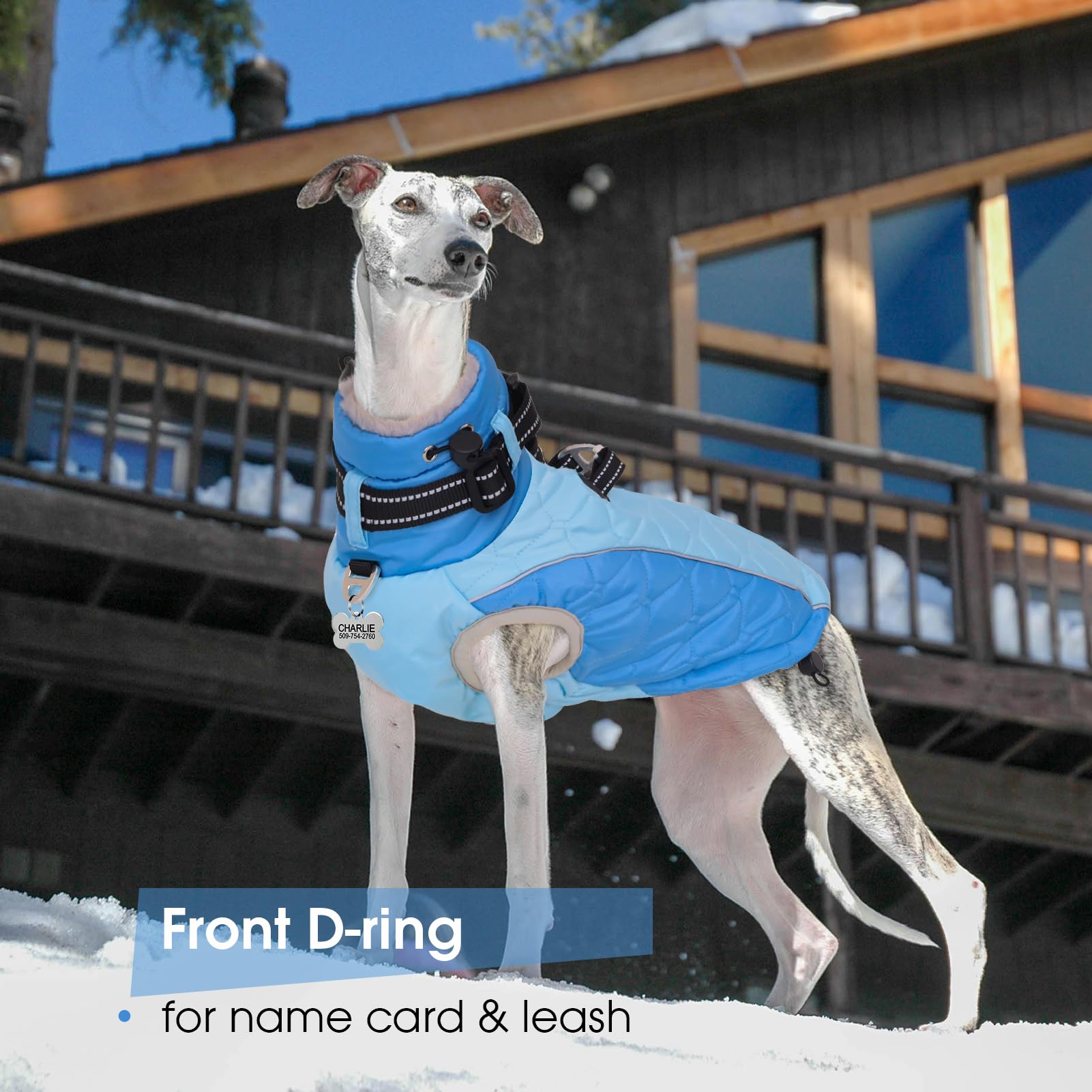 CAREUPET machine-washable blue fabric for easy cleaning.