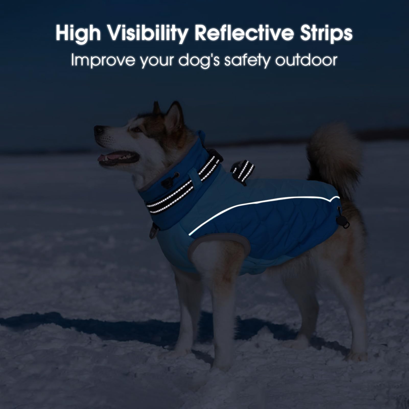 CAREUPET reflective-strips blue image shows nighttime visibility.