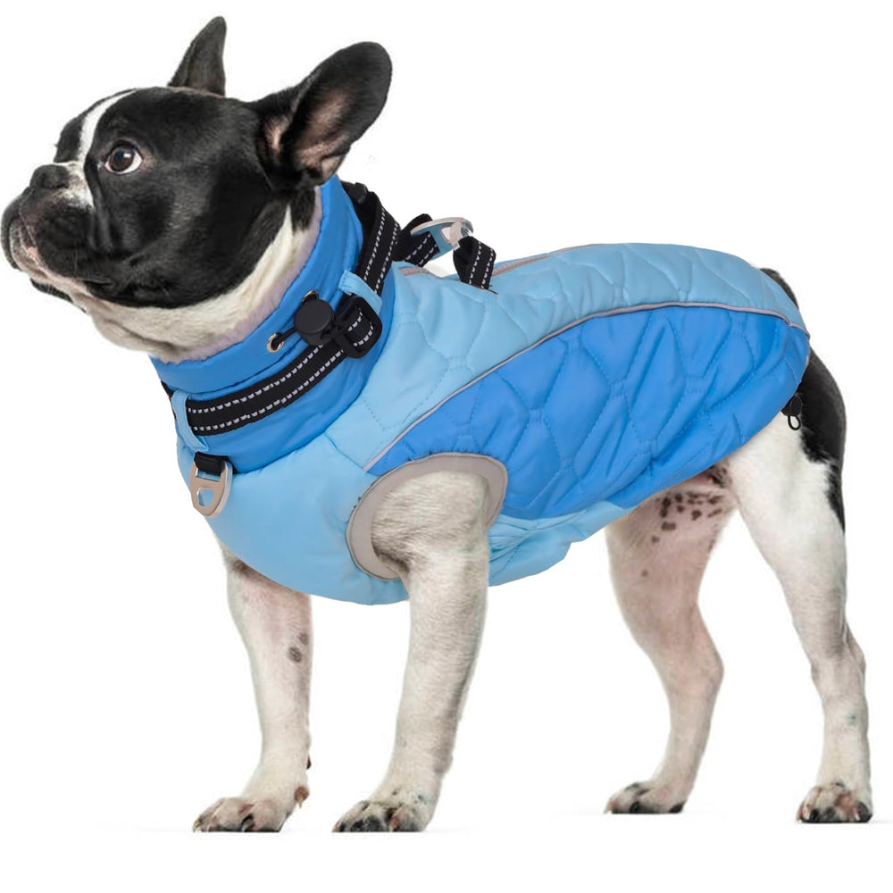 CAREUPET windproof blue dog jacket, front view, keeps medium dogs warm outdoors.
