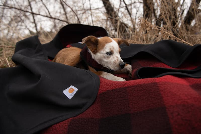 Carhartt blanket on a sofa with dog, illustrating home comfort.