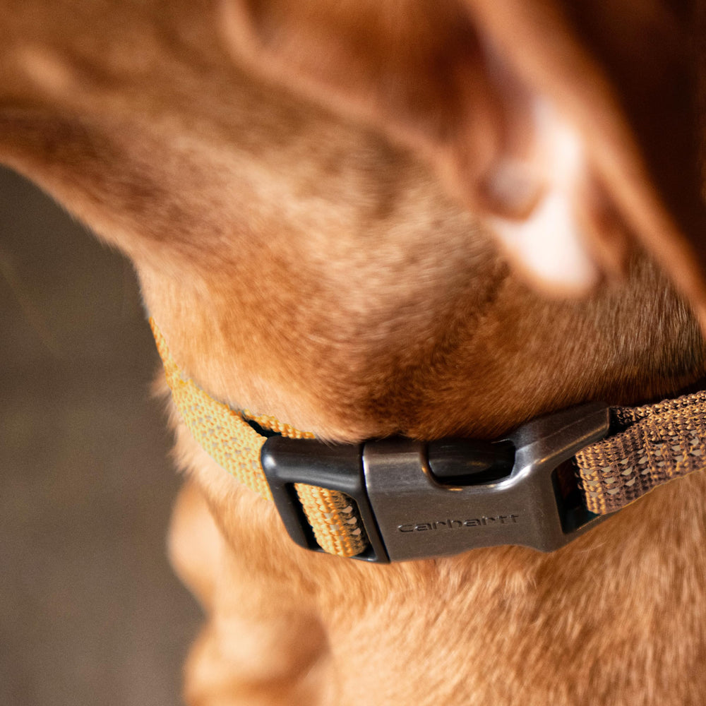 Carhartt dog collar with durable nylon webbing and duck canvas weave for long-lasting wear.