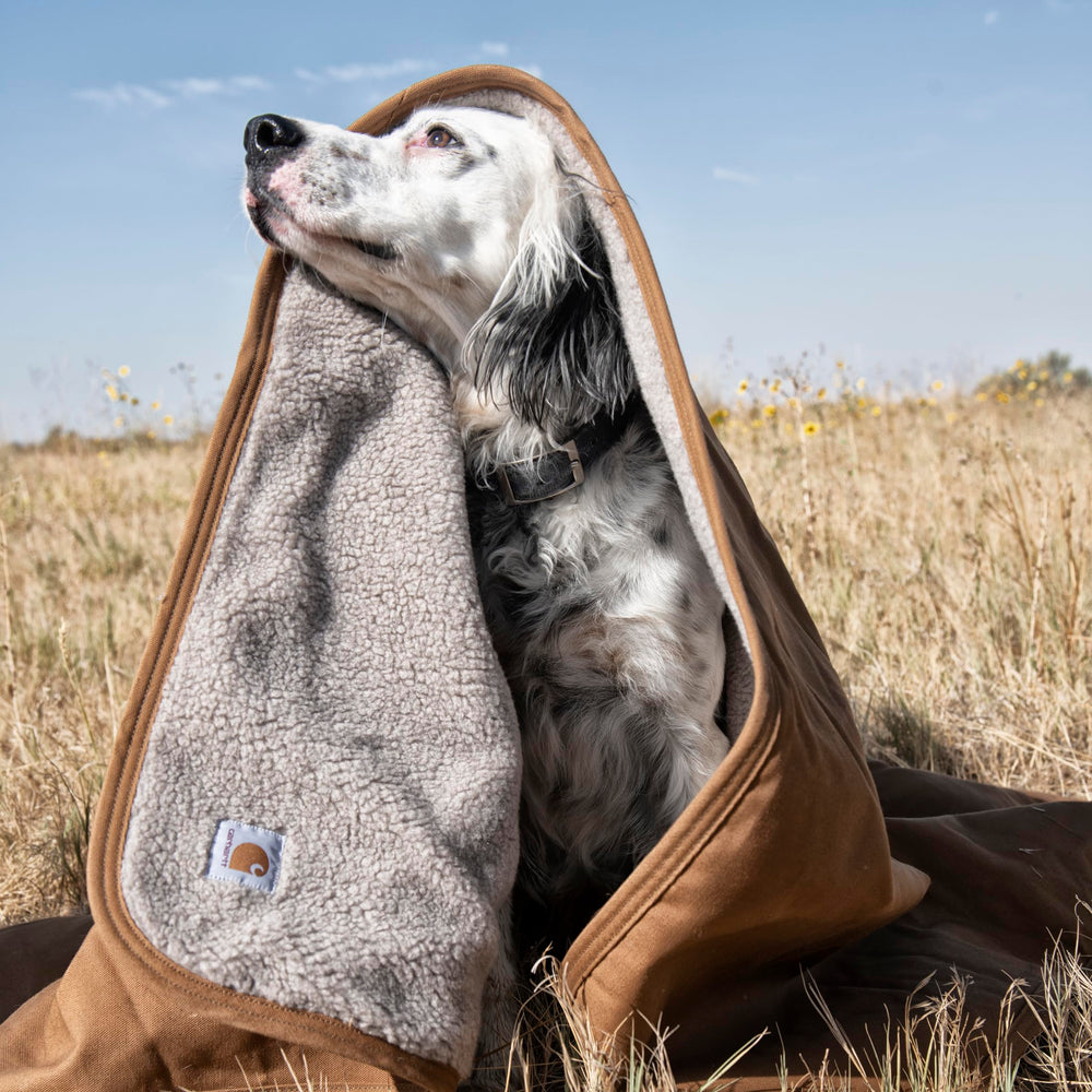Carhartt Firm Duck Sherpa-Lined Blanket in a living room setup with a pet.