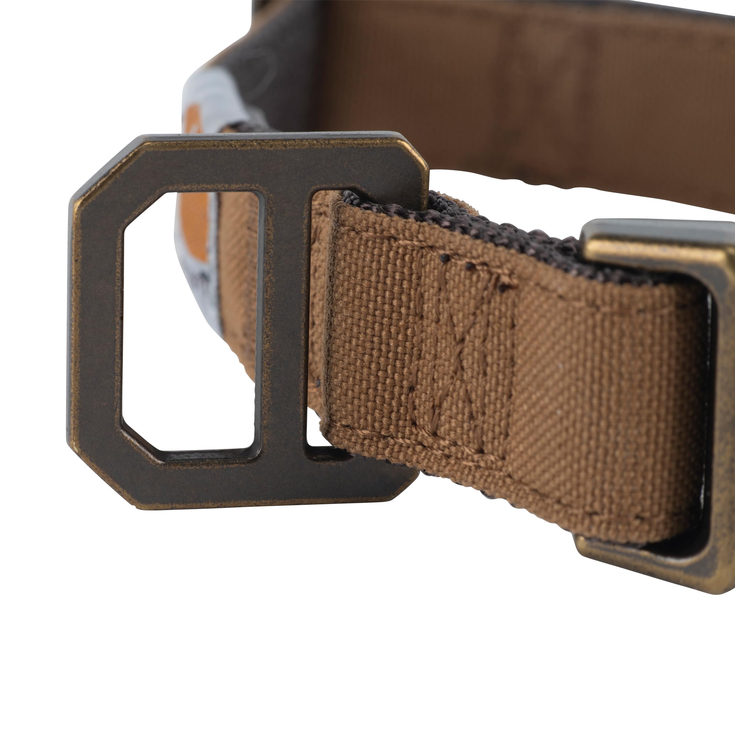 Carhartt Nylon Duck Collar buckle detail demonstrates easy on-off durability for daily walks.