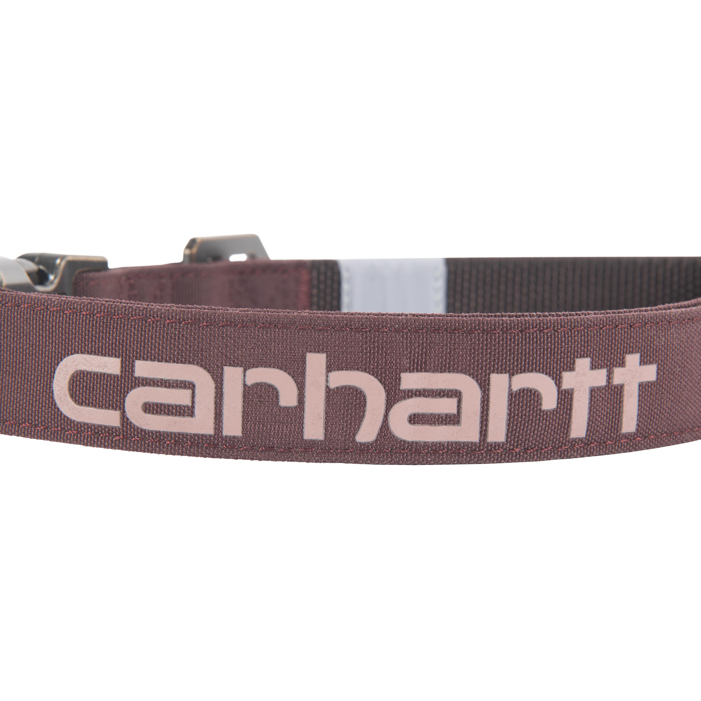 Carhartt Nylon Duck Dog Collar full-body view on a dog for reliable all-day wear.