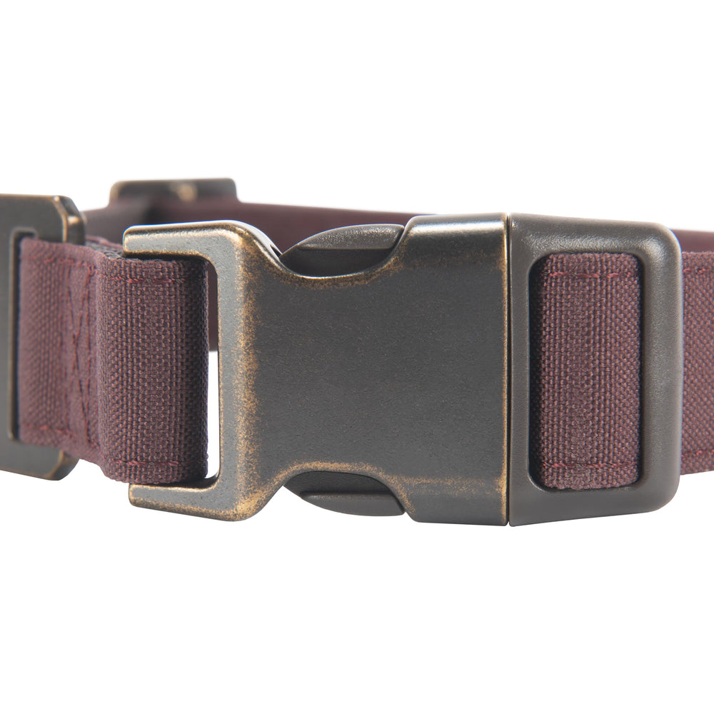 Carhartt Nylon Duck Dog Collar reflective trim in low light for visibility on evening walks.