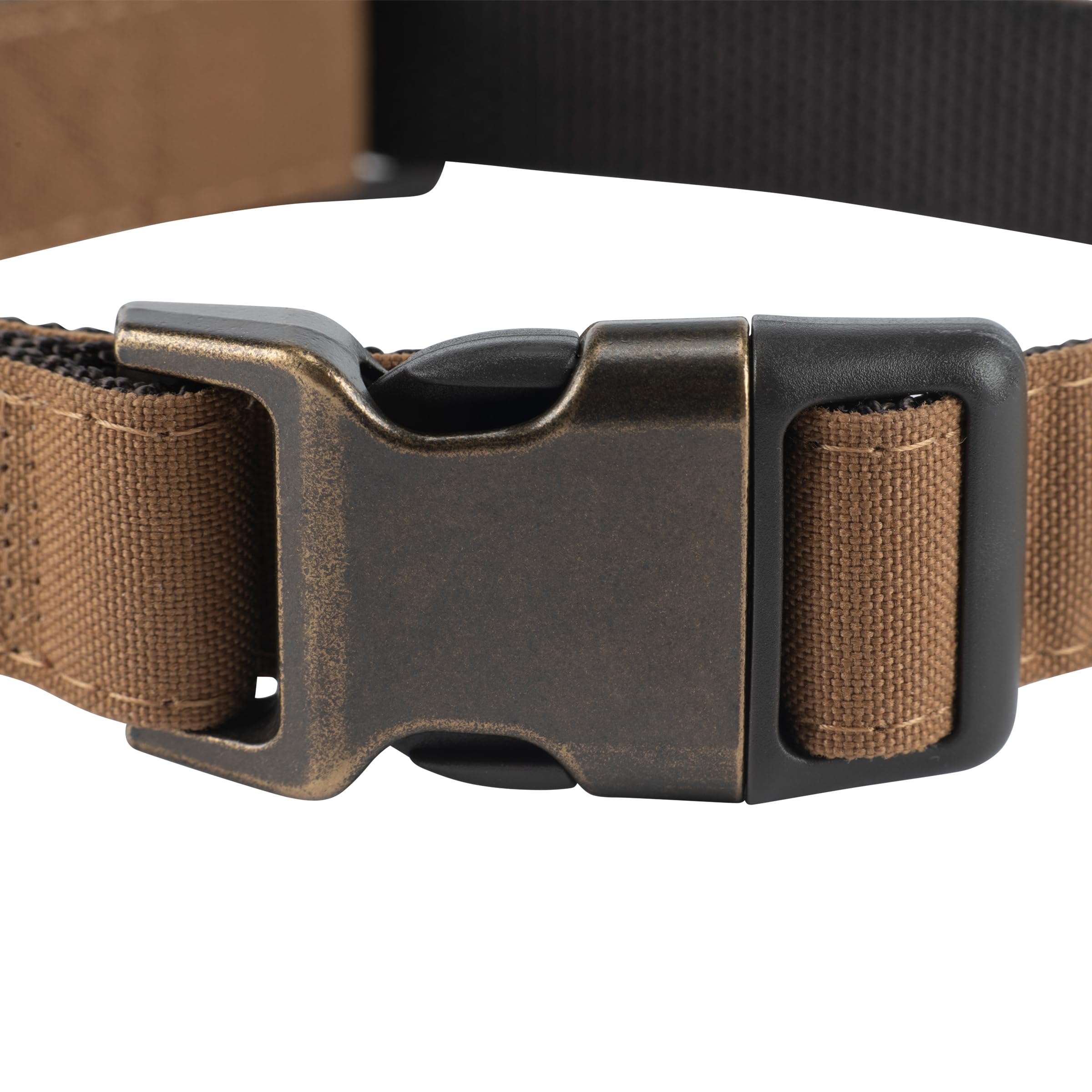Carhartt Nylon Duck Collar reflective trim boosts low-light visibility during evening strolls.