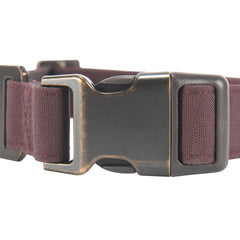 Carhartt Nylon Duck Dog Collar reflective trim in low light for visibility on evening walks.