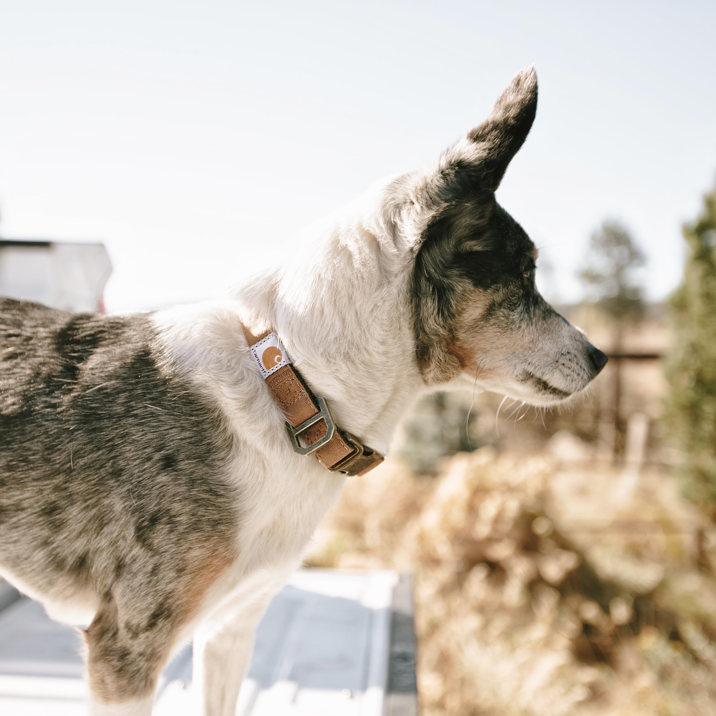 Carhartt Nylon Duck Collar material close-up showcases Cordura nylon canvas and duck weave.