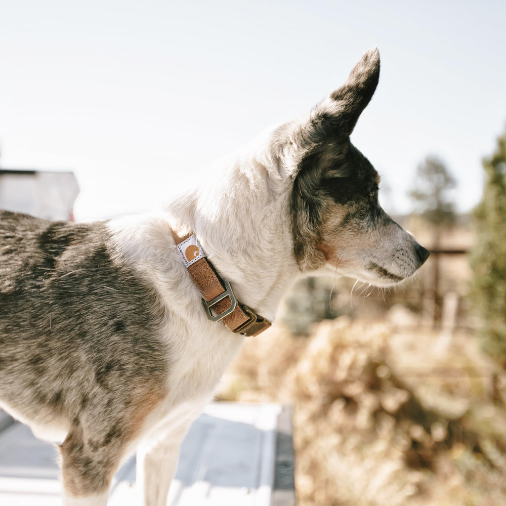 Carhartt Nylon Duck Collar material close-up showcases Cordura nylon canvas and duck weave.