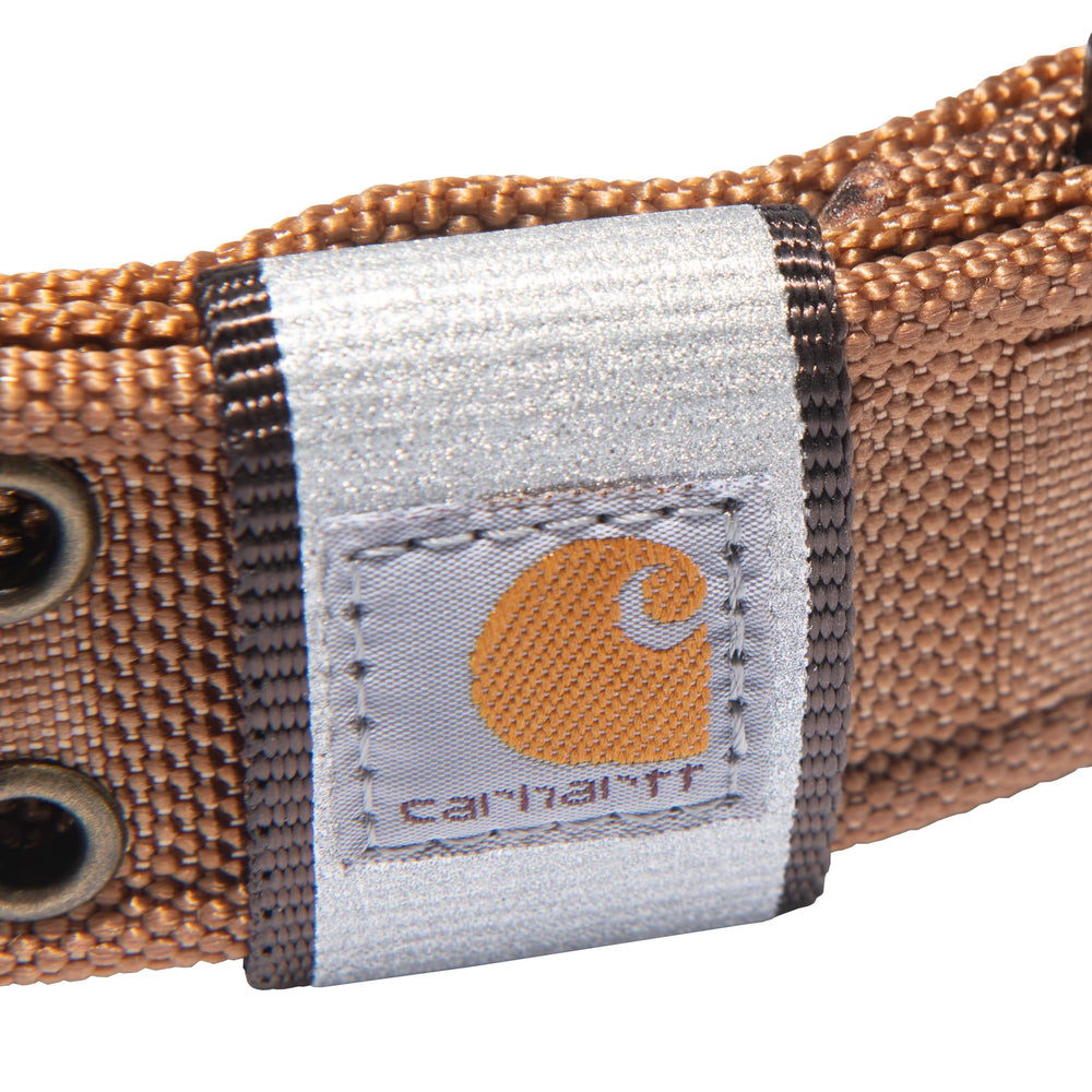 Carhartt collar close-up of double-pronged buckle for easy size adjustments during walks.