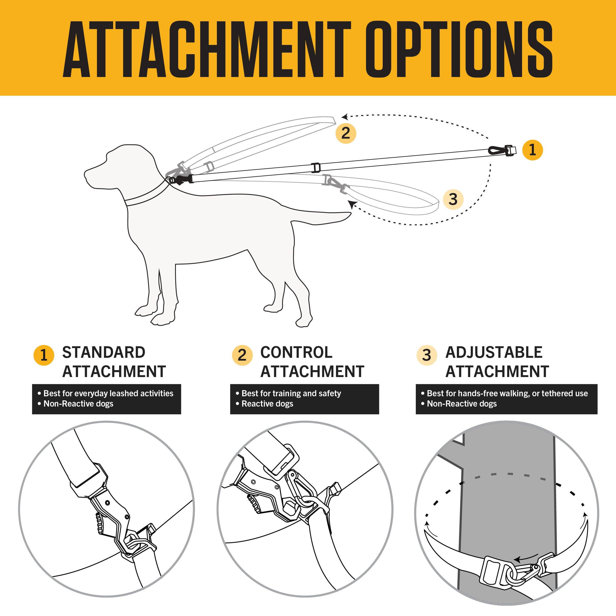 Carhartt Pet Leash rugged D-ring supports adjustable attachment options on the leash.