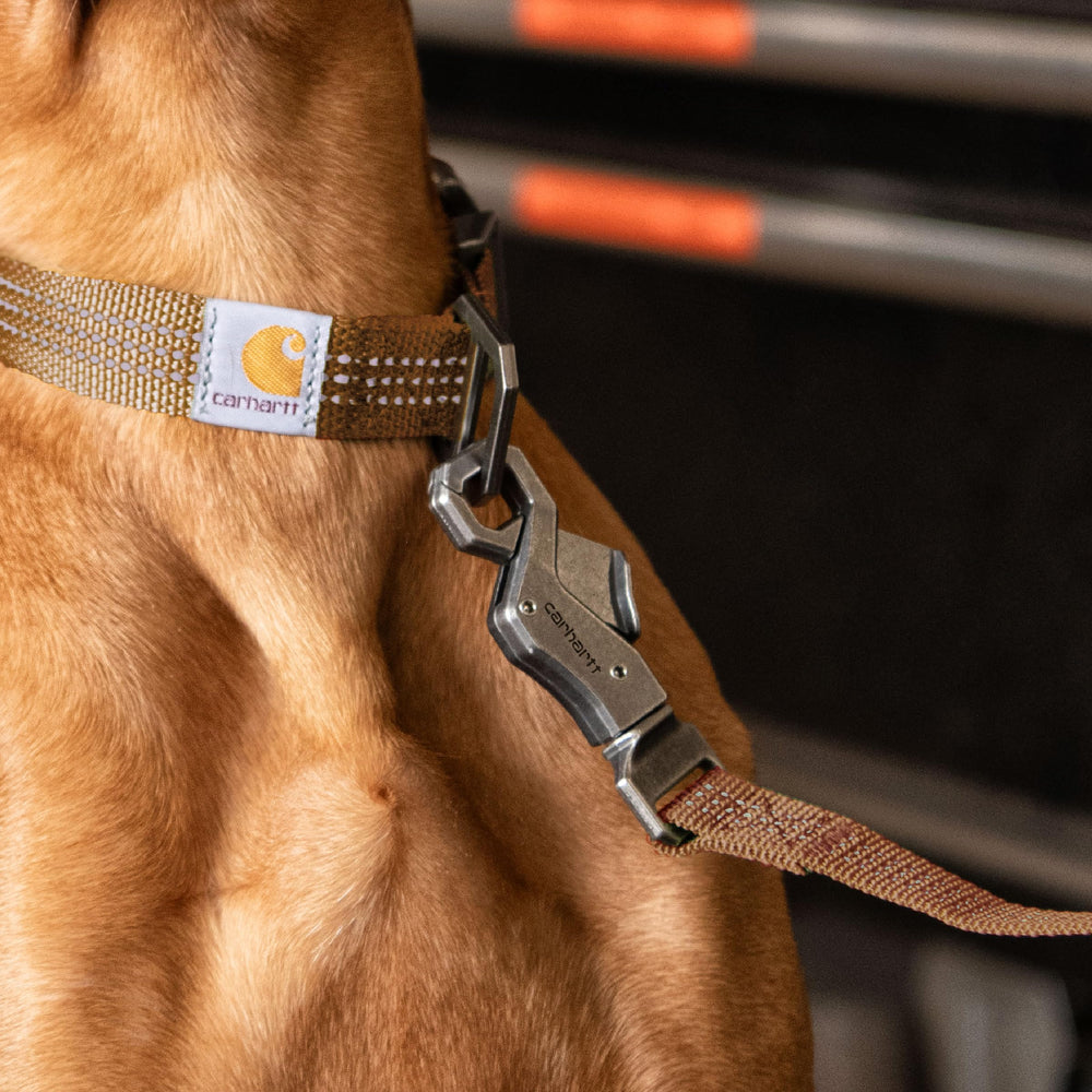 Carhartt Pet Leash large 6-foot length provides control for bigger dogs.