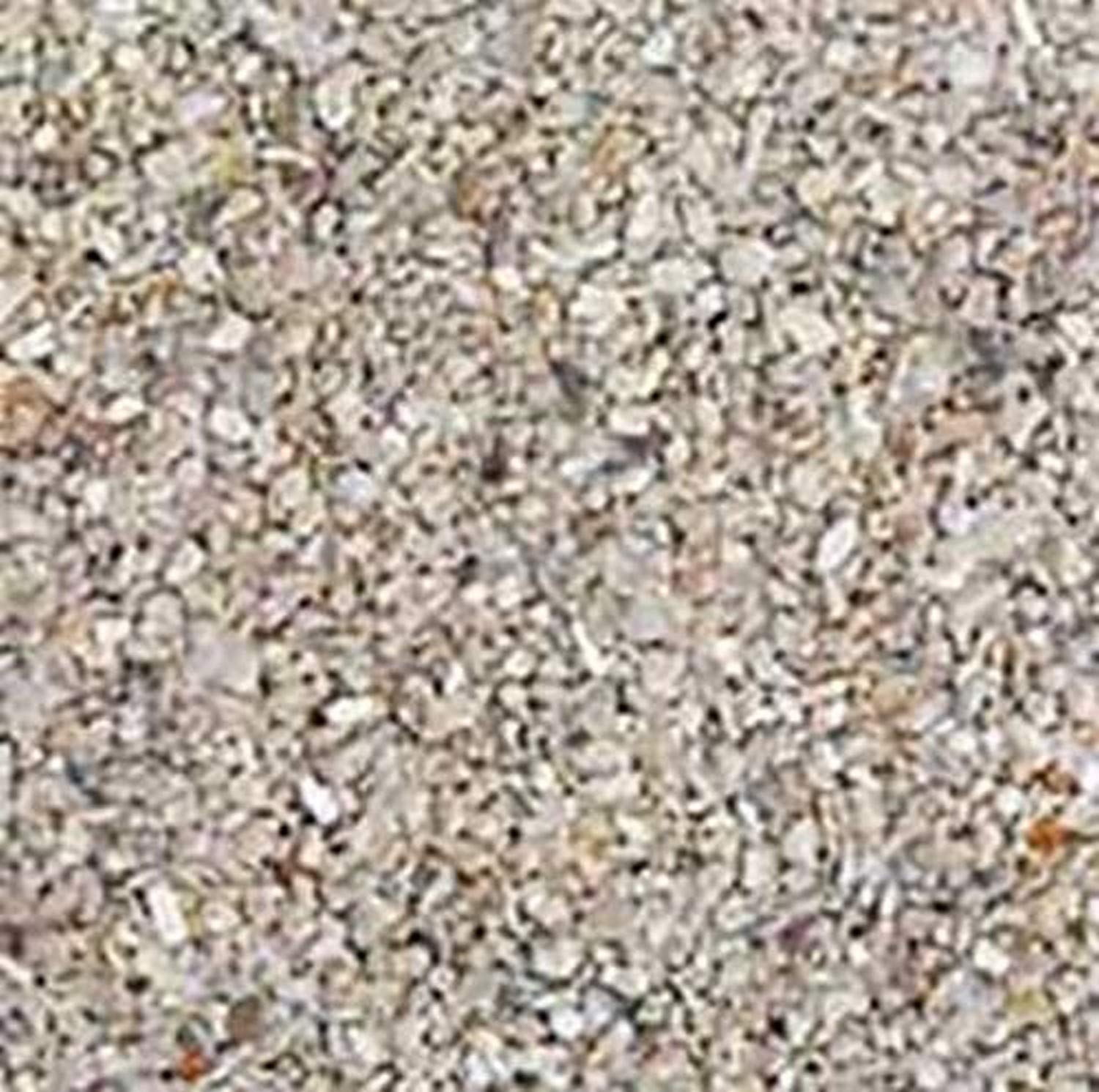 Carib Sea ACS00050 aragonite reef sand pouring demonstrates reef-appropriate substrate for marine tanks