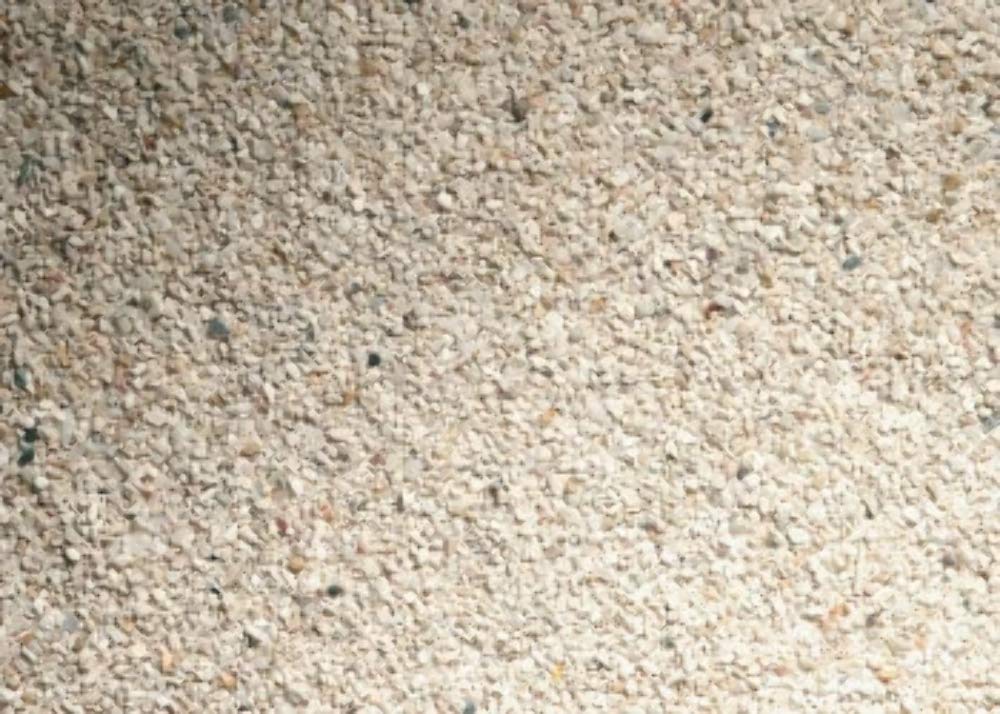 CaribSea Arag-Alive reef sand substrate enabling instant cycling and robust biological filtration.