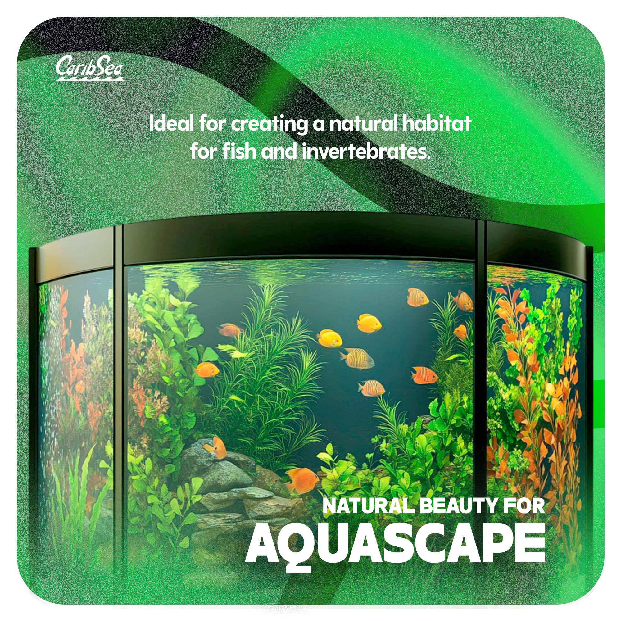 Carib Sea Moonlight Sand discus-friendly setup enhances natural habitat and water clarity.