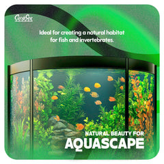 Carib Sea Moonlight Sand discus-friendly setup enhances natural habitat and water clarity.