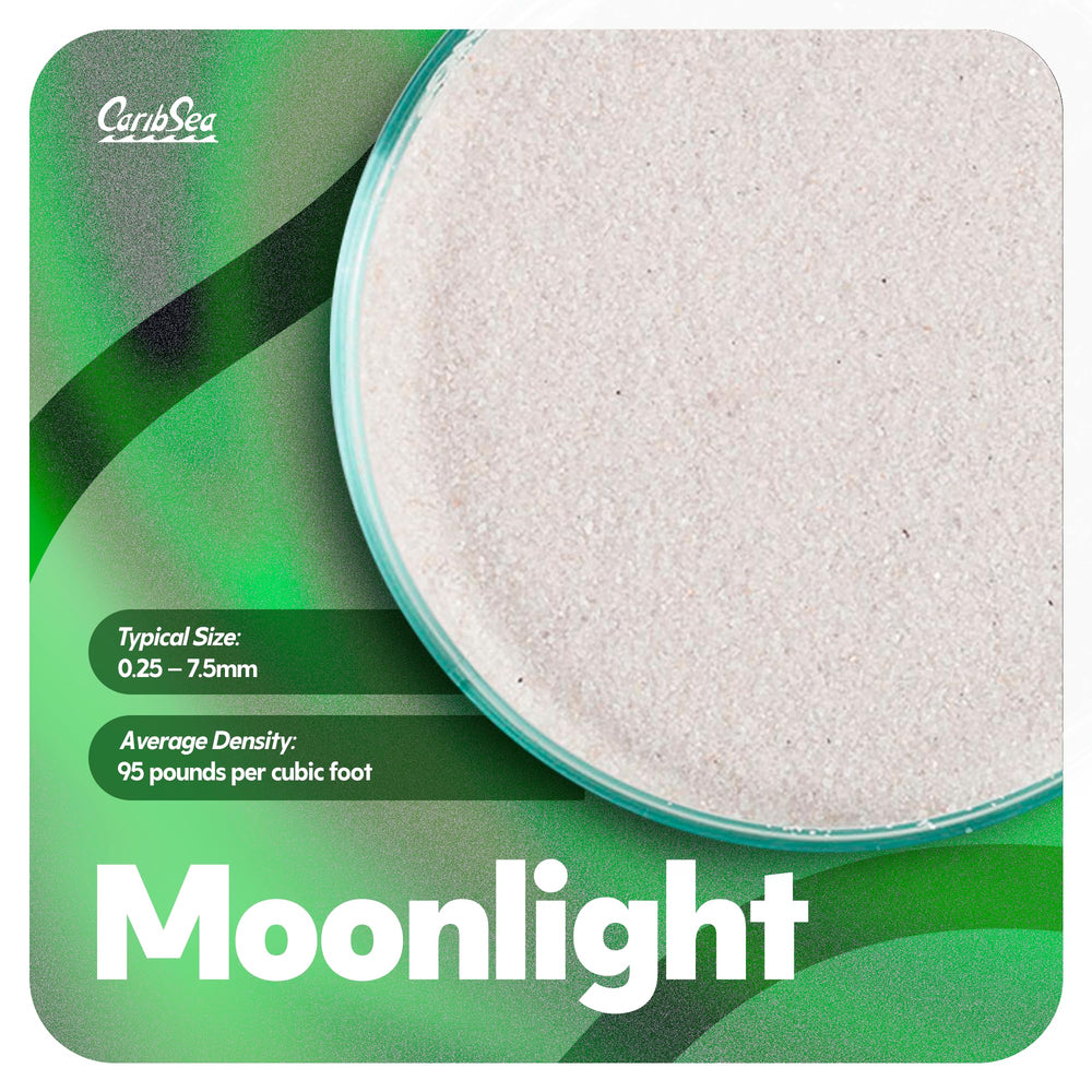 Carib Sea Super Natural Moonlight Sand ideal for tetras and angelfish with high contrast.