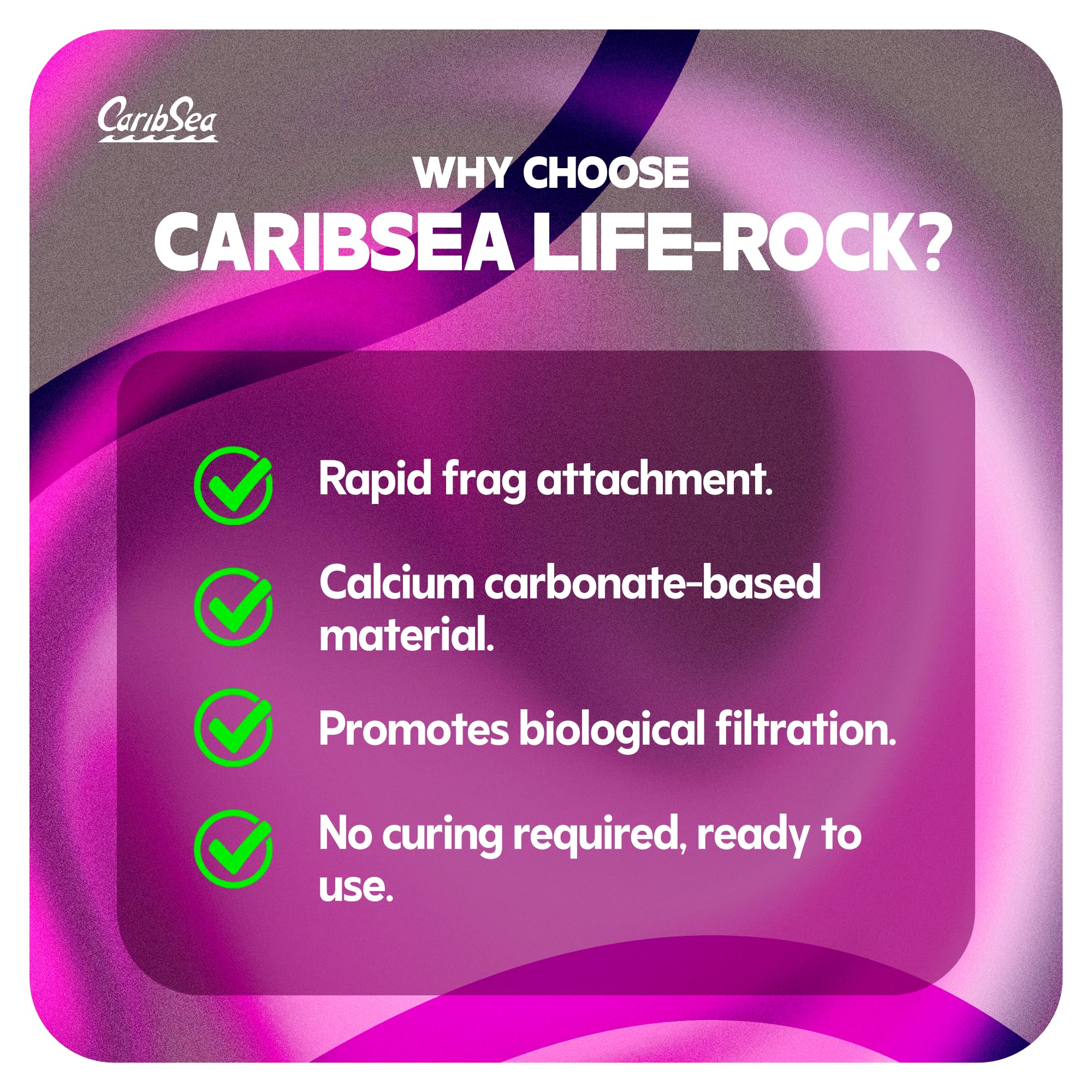 CaribSea Life Rock Frag Zone growout setup demonstrating stable frag base for coral growth.