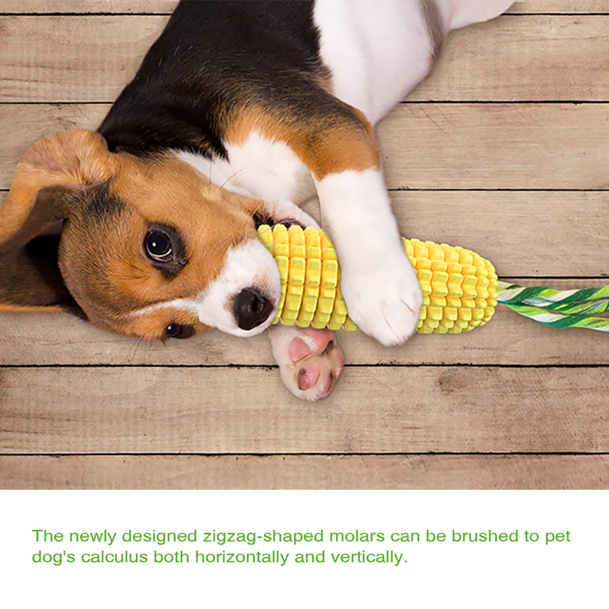 Carllg all-sizes dog toy suitable for small, medium, and large breeds