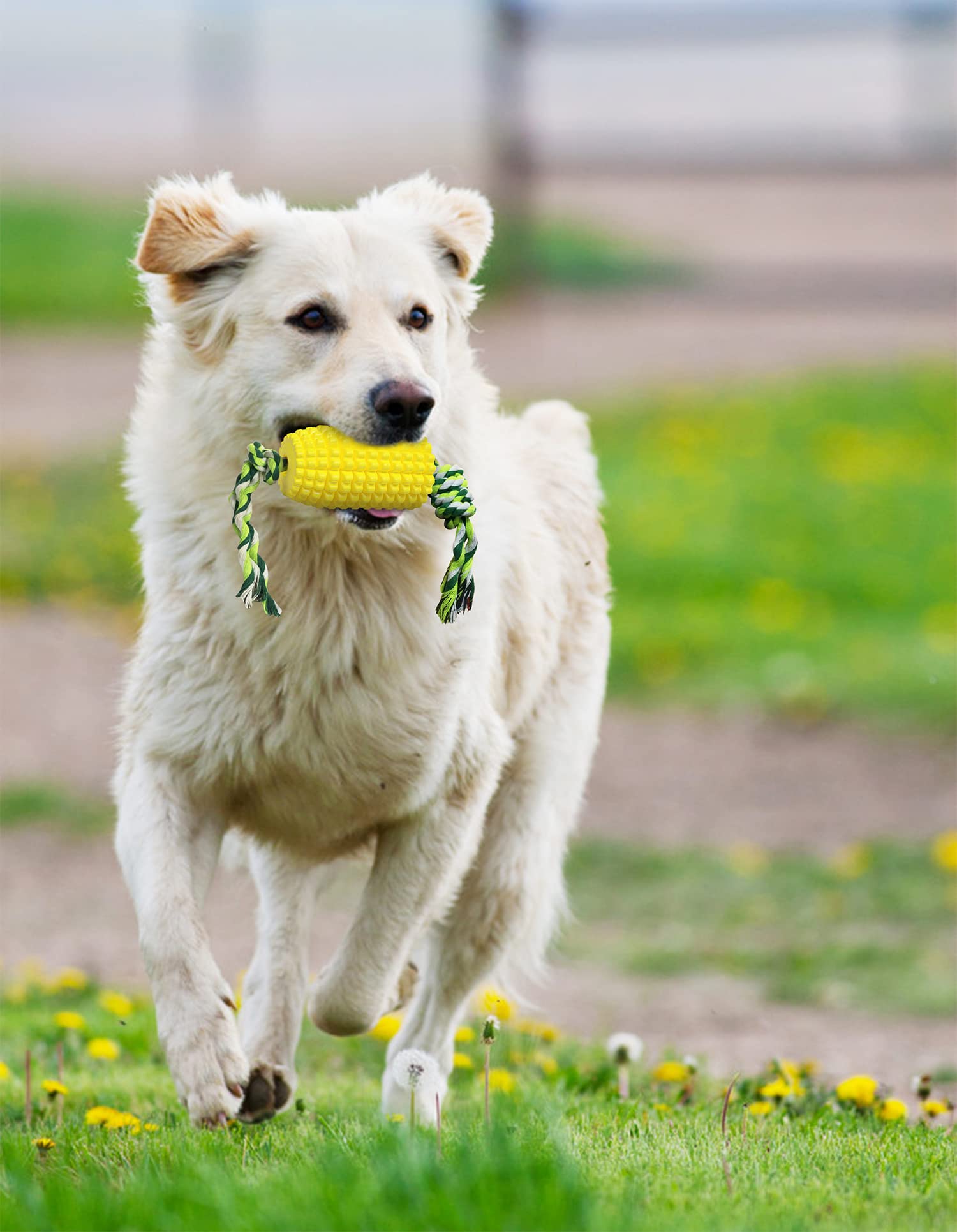 Carllg dog chew toy features a durable bite-resistant design