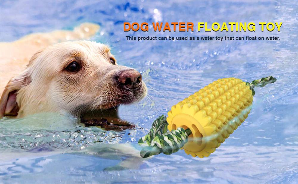 Carllg dog chew toy used during at-home play for dental care