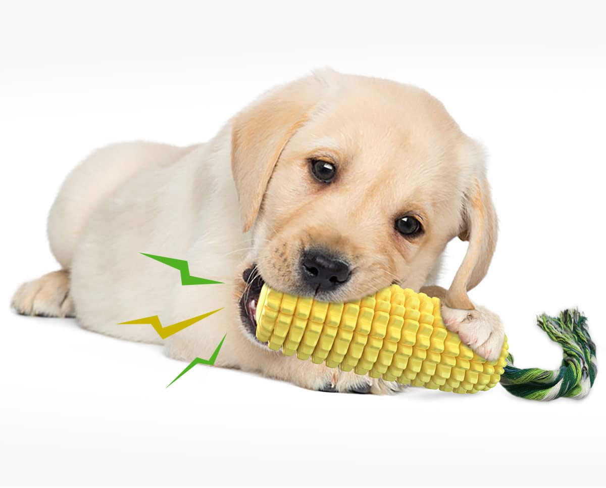 Carllg squeaky dog toy with sound feature to boost engagement during chew play
