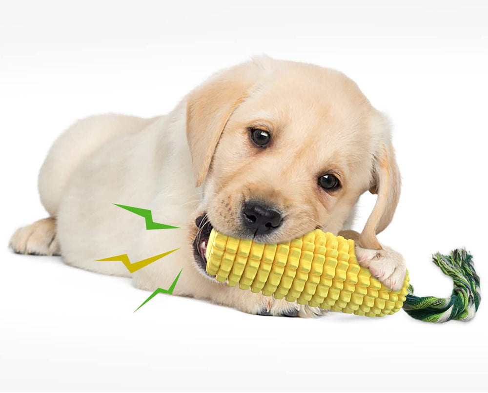 Carllg squeaky dog toy with sound feature to boost engagement during chew play