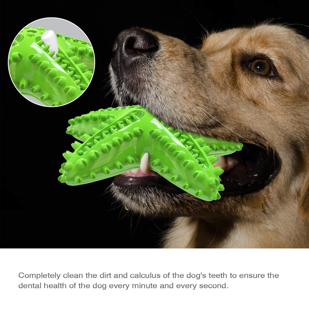Carllg starfish dog toy cleaning-tank demonstrates dental-friendly surface for chewing