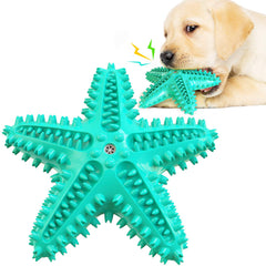 Carllg Starfish dog toy packaging and design for durable play
