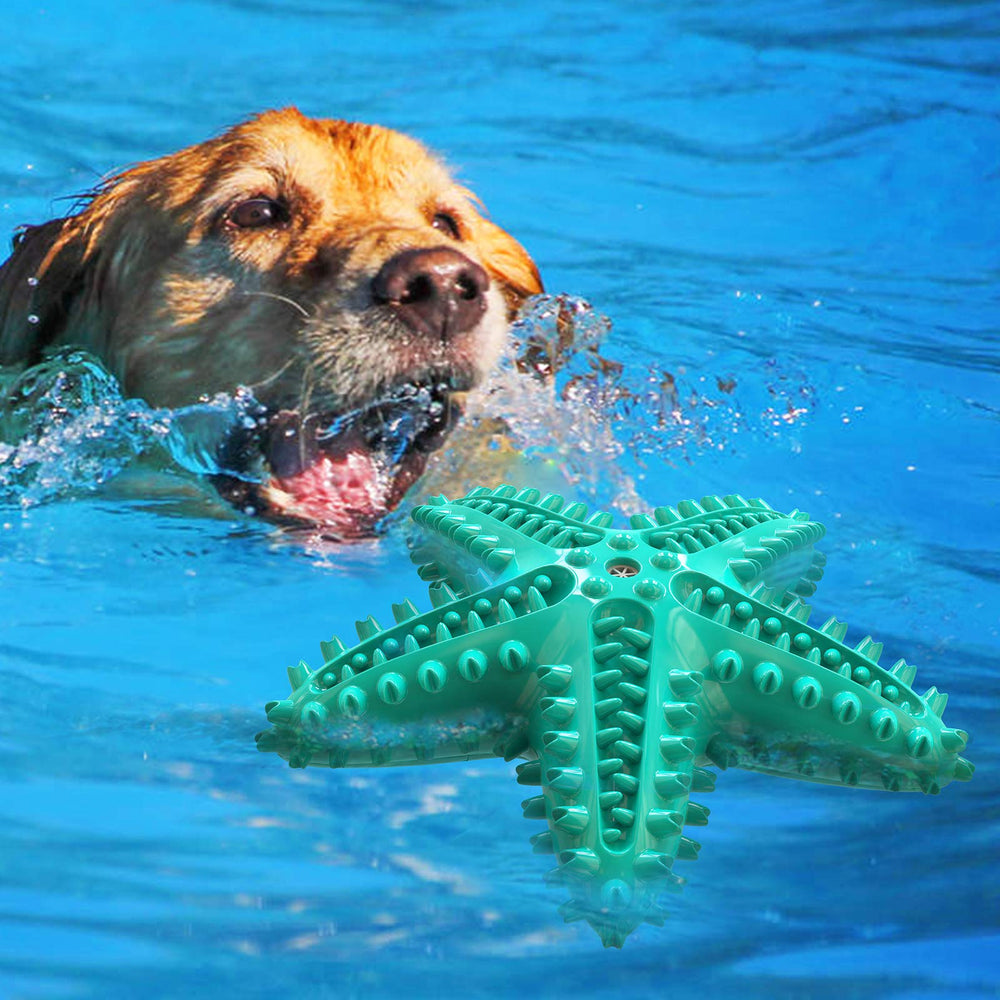 Carllg Starfish dog toy in action during interactive playtime