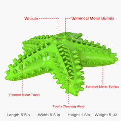 Carllg starfish dog toy side view reveals bite-resistant design for lasting play