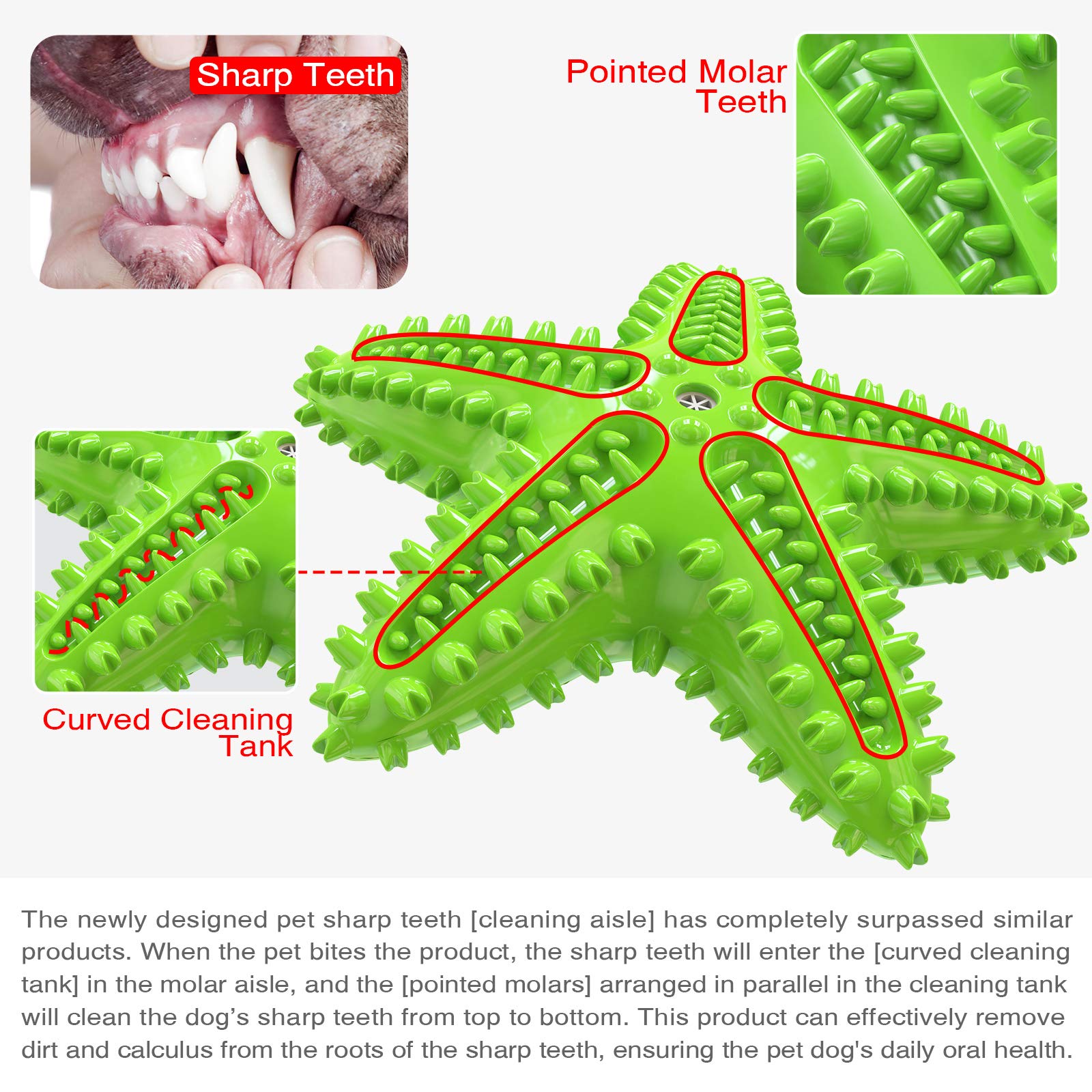 Carllg starfish dog toy squeaker-top adds engaging interactive play