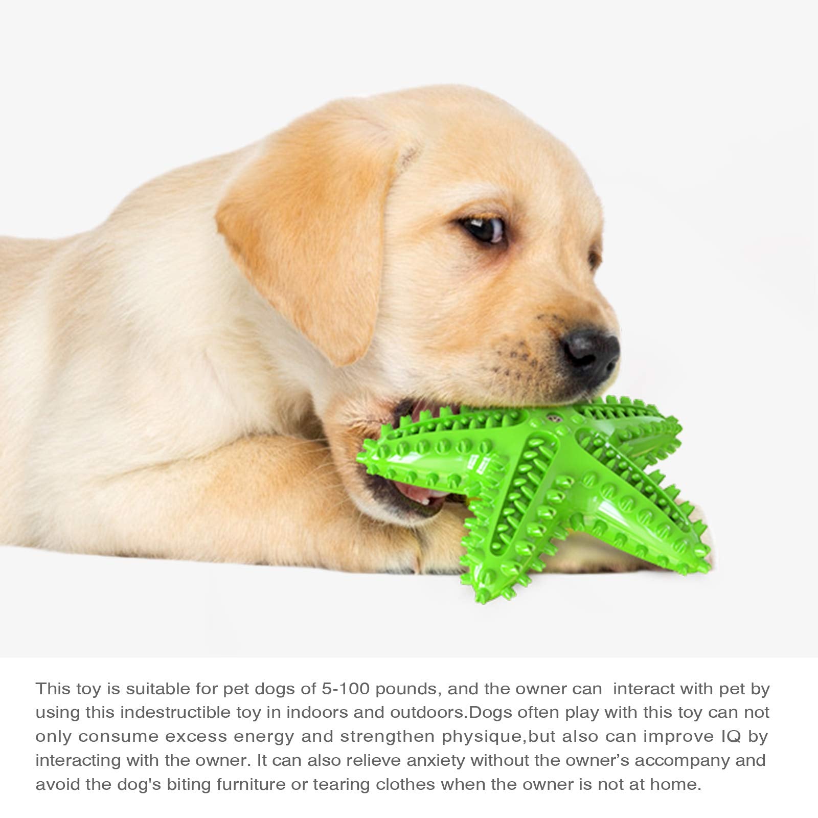Carllg starfish dog toy TPR texture resists deformation during chewing