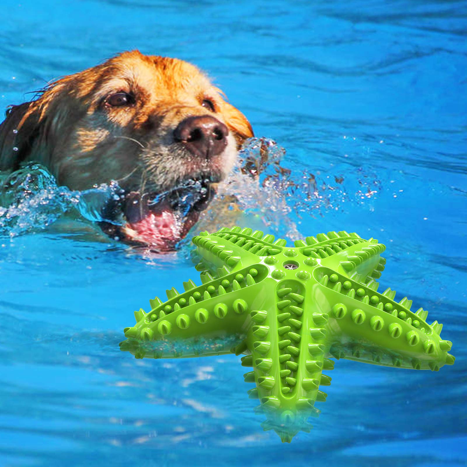 Carllg starfish dog toy suitable for small to large breeds during puzzle play