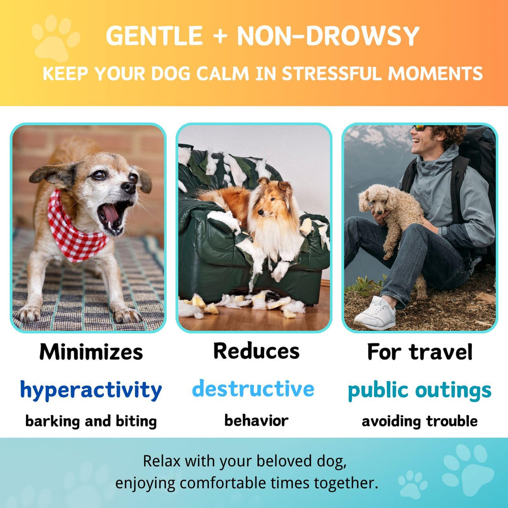 Carmelie 200 chews bottle shot denoting long-term daily support for pets