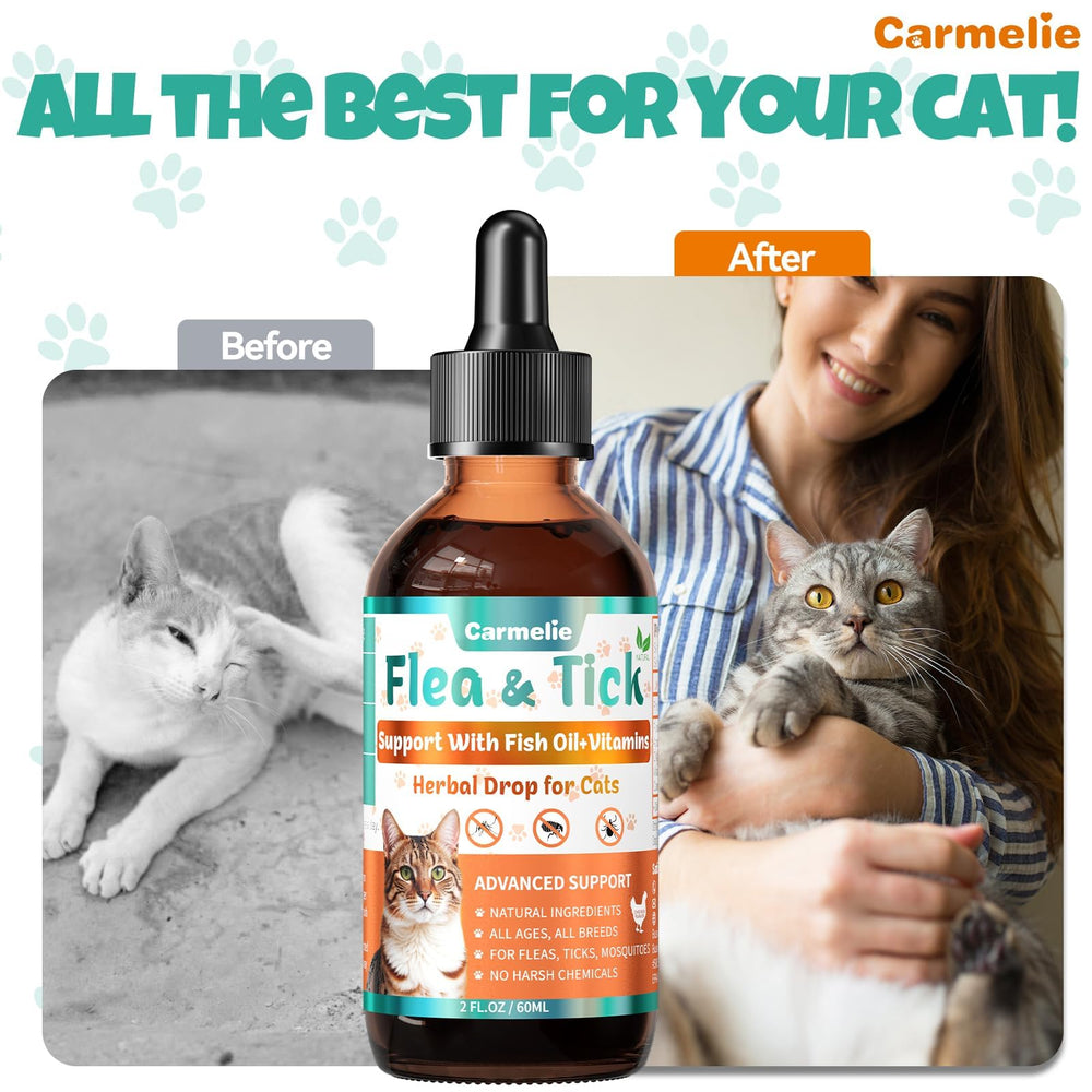 Kitten to senior cats using Carmelie drops for everyday support.