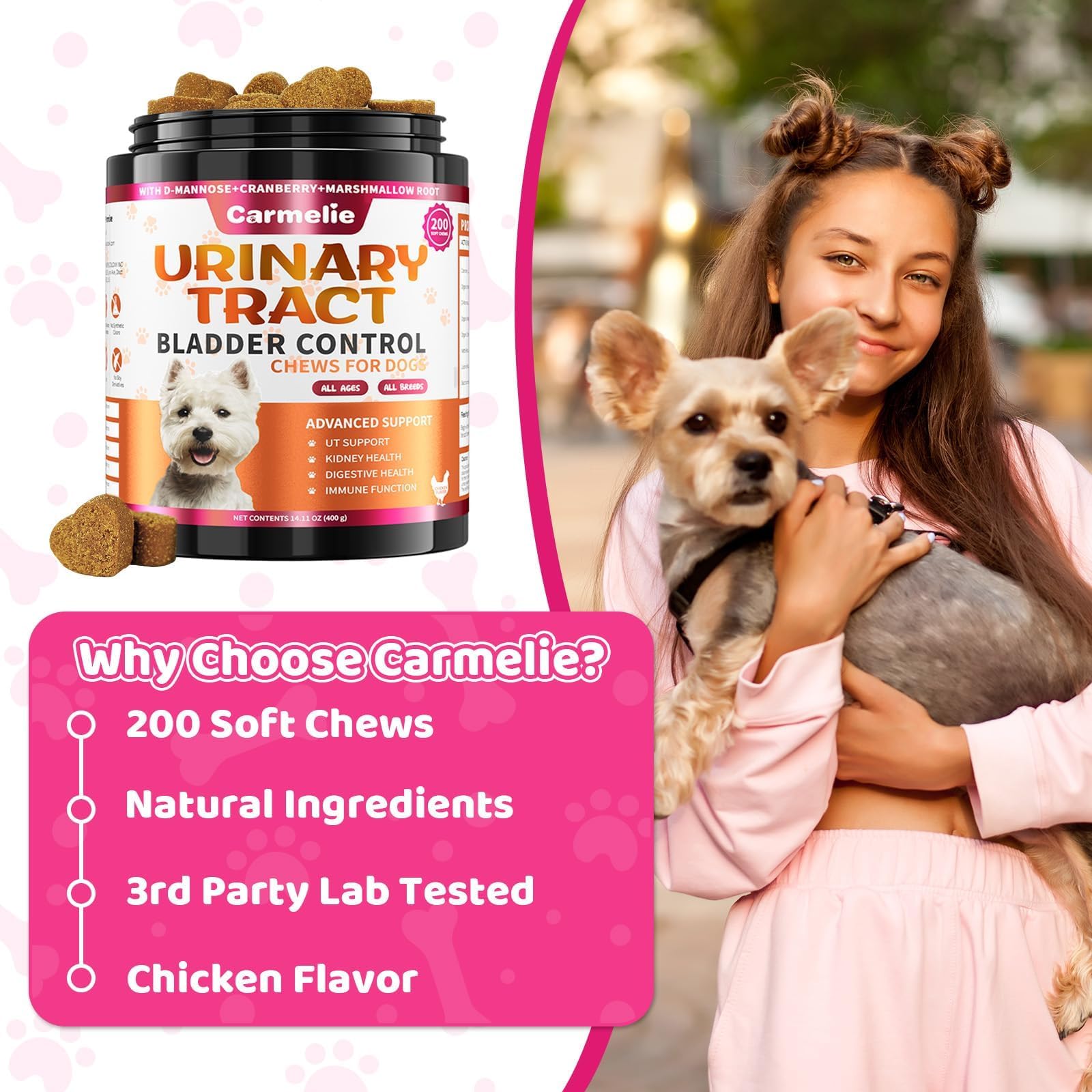 Carmelie ingredients illustration with astragalus and probiotics indicates immune and digestive support.