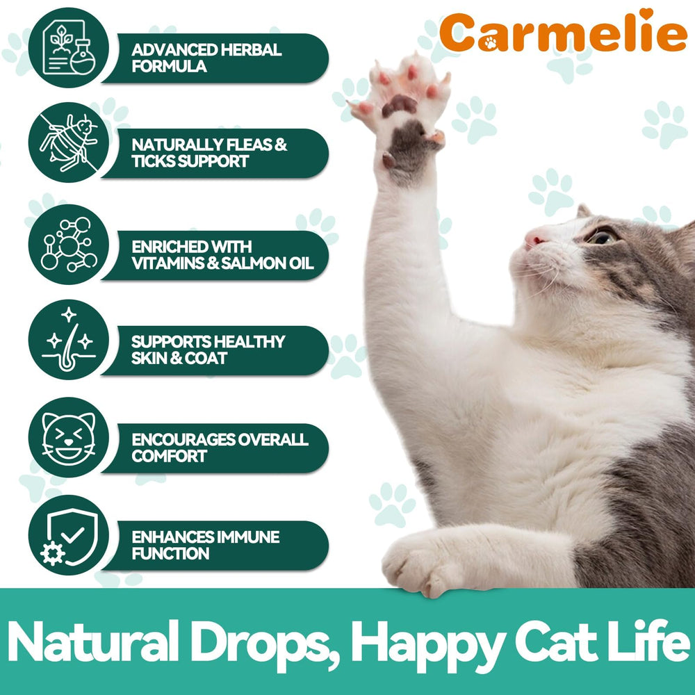 Cat happily accepts Carmelie drops with chicken flavor in meals.