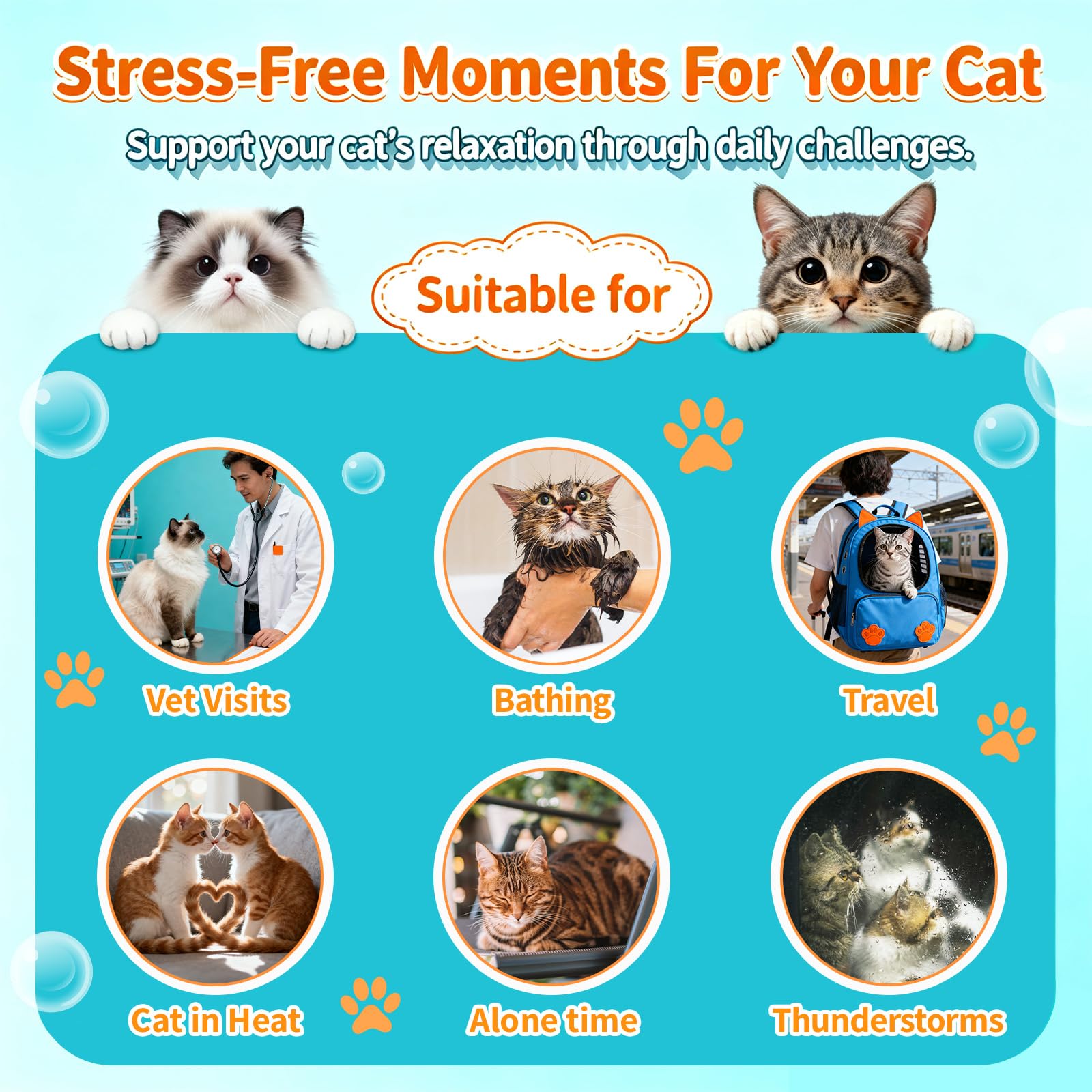 Carmelie cat calming treats melatonin note highlights sleep-friendly formula for restful nights