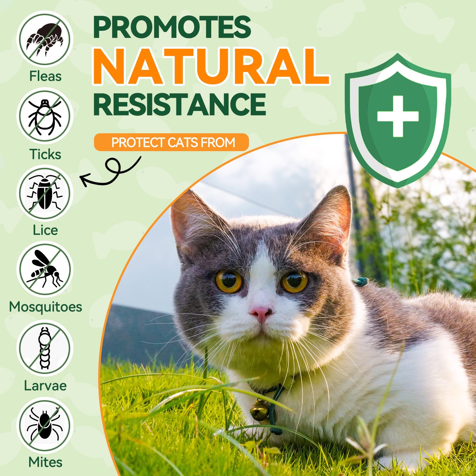 Carmelie cat skin health support with natural coconut oil and flaxseed