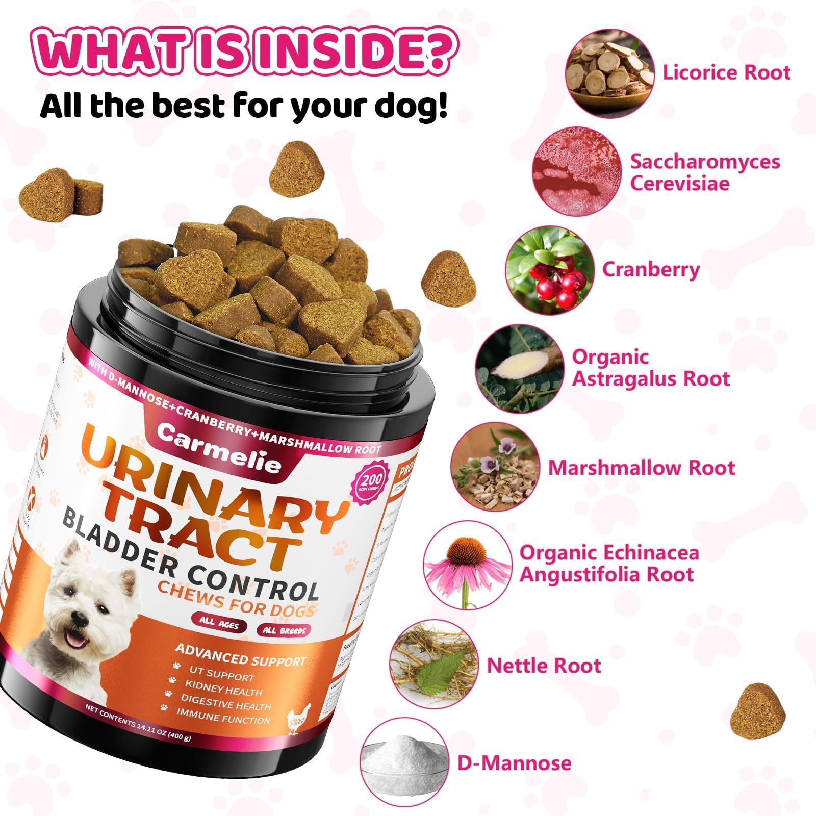 Carmelie chicken-flavored chews entice dogs with palatable aid for urinary support.