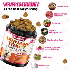 Carmelie chicken-flavored chews entice dogs with palatable aid for urinary support.